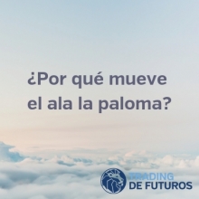 ¿por qué mueve el ala la paloma?