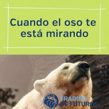 Cuando el oso te está mirando