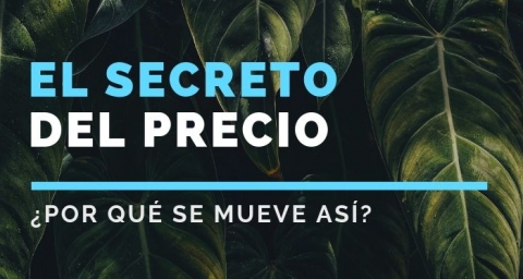 El secreto del precio