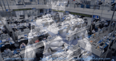 Trading, el trabajo duro mejor pagado