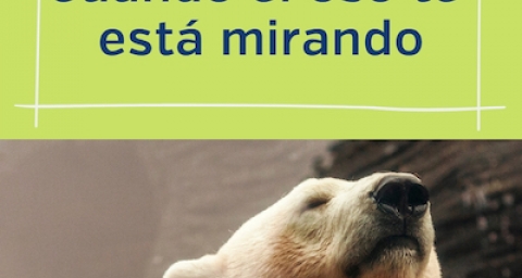 Cuando el oso te está mirando